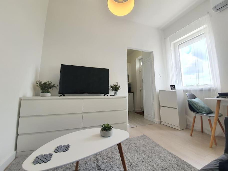 Master Apartment With Air Condition And Separated Rooftop Terrace Budapest Bagian luar foto